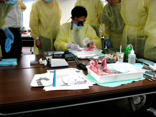 h-28-9-11-%e5%ba%83%e5%b3%b6%e3%80%80%e8%ac%9b%e7%bf%92%e4%bc%9a